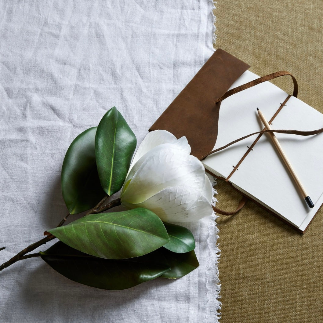 White Magnolia Stem