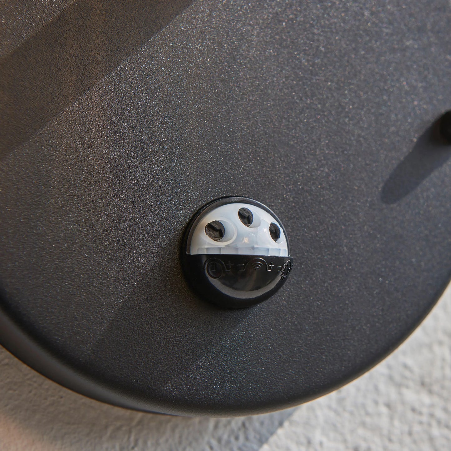 Elwood Outdoor Wall Light