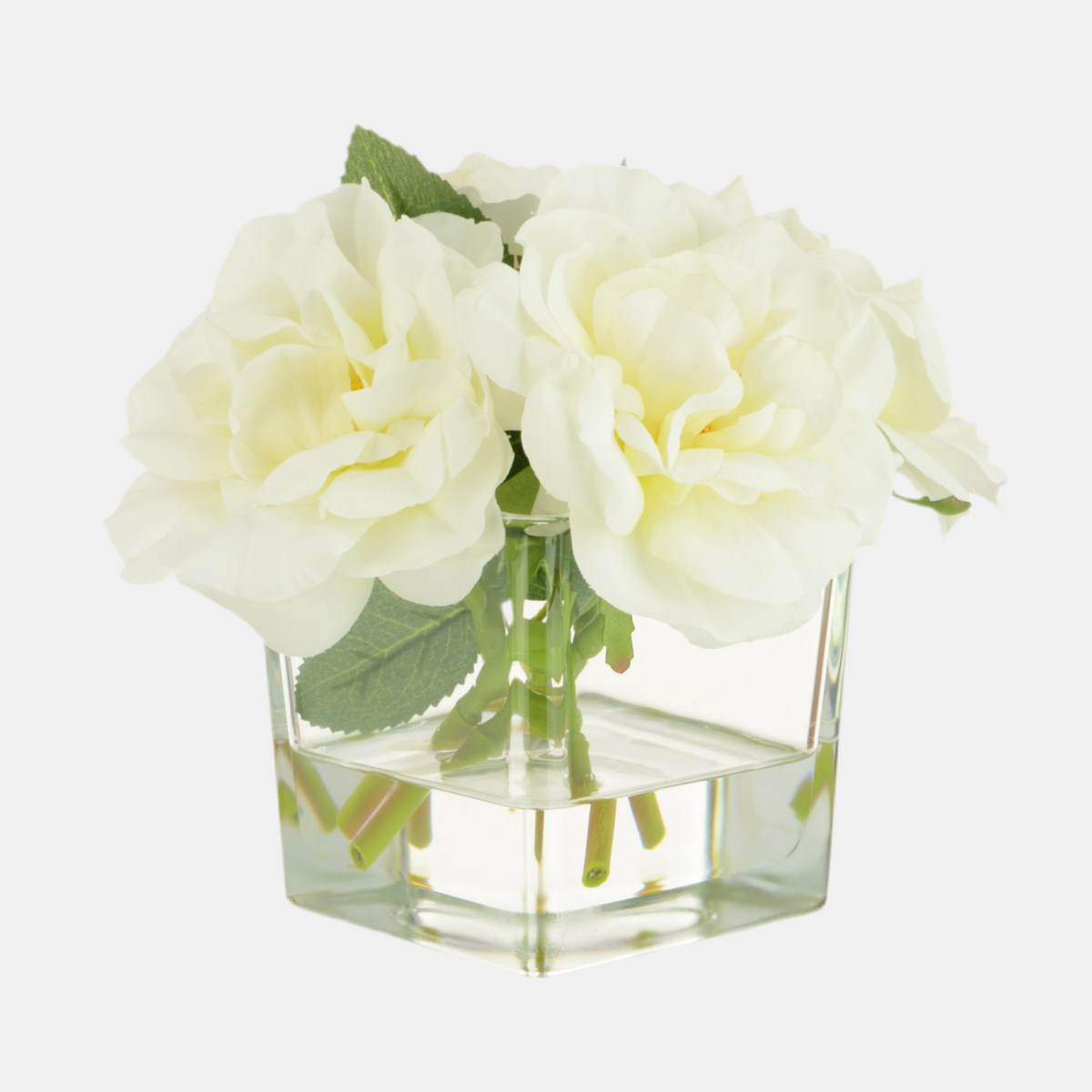 Roses in Square Vase