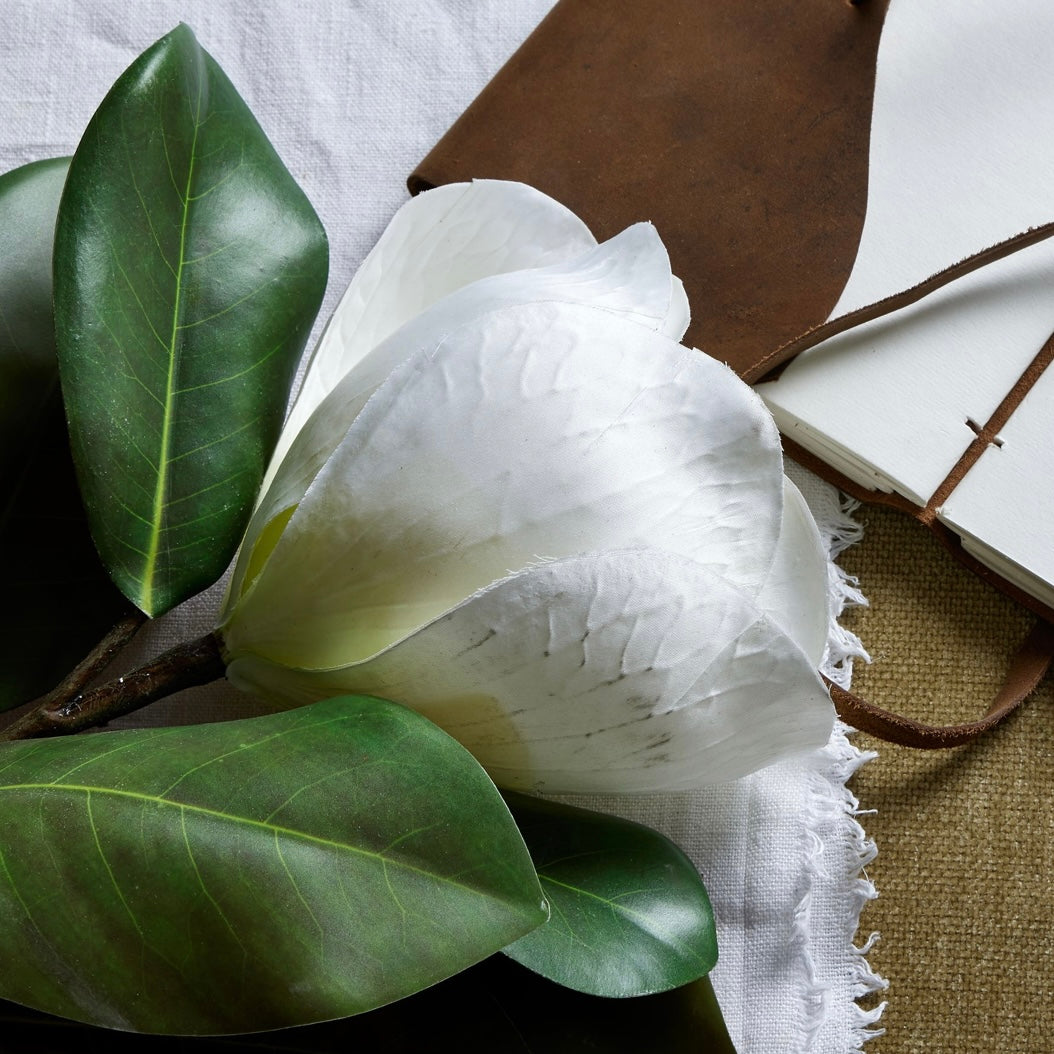 White Magnolia Stem