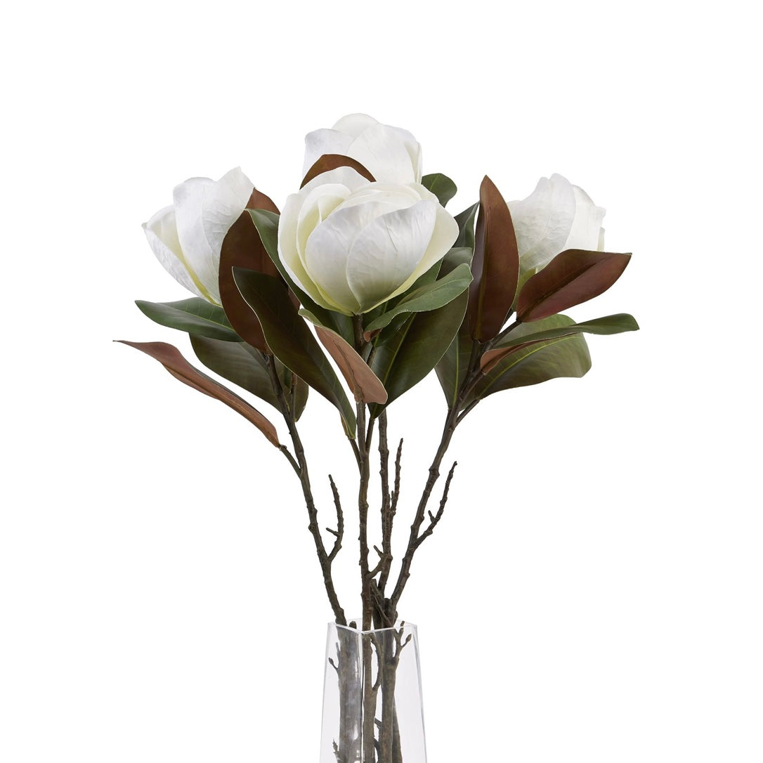White Magnolia Stem