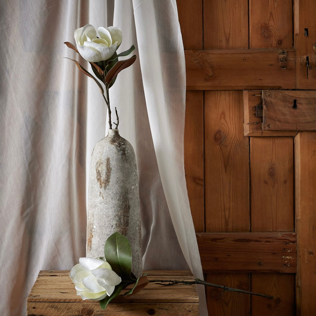 White Magnolia Stem