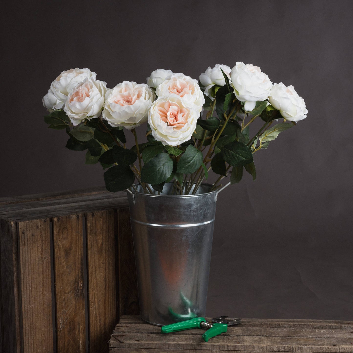 Garden Rose (Blush)