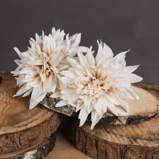 Cafe Au Lait Dahlia