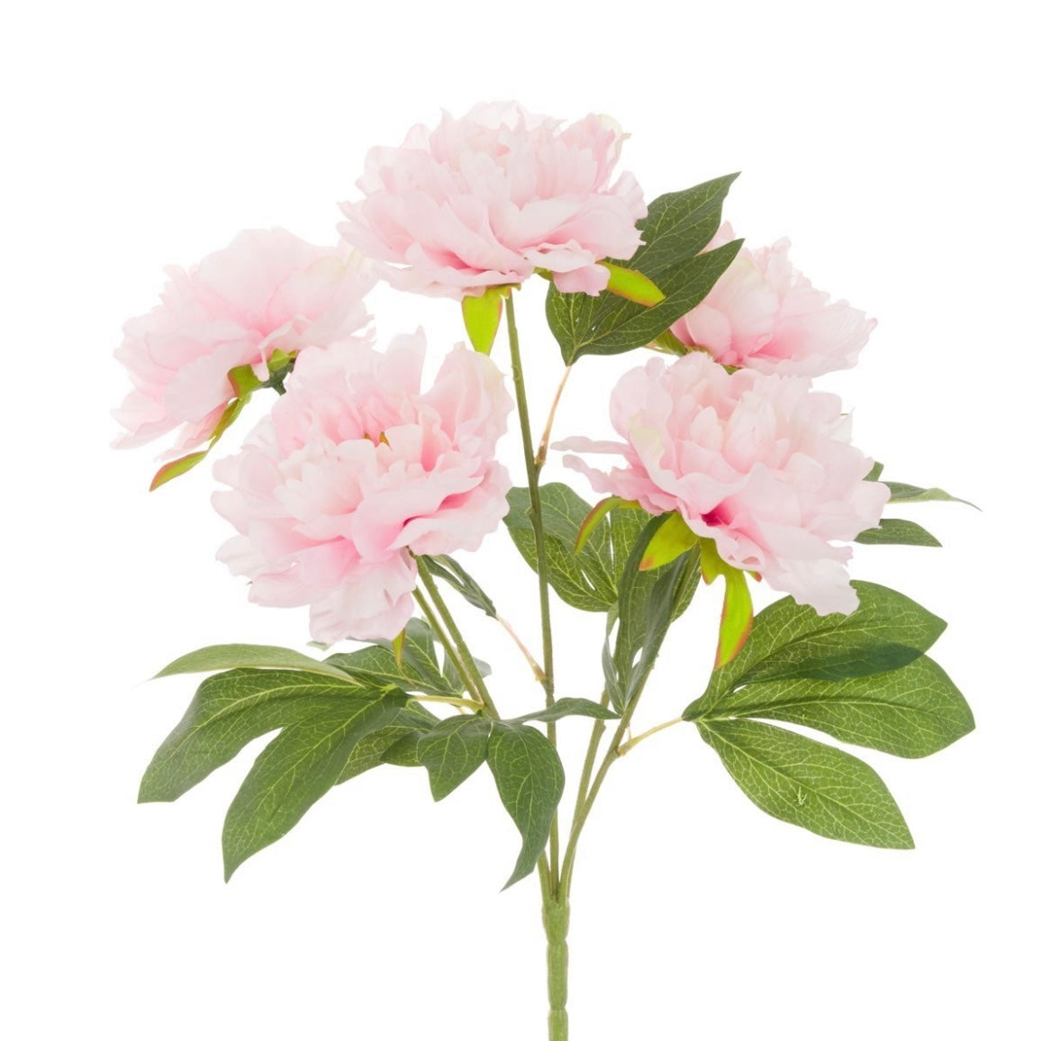 Pink Peony Bunch