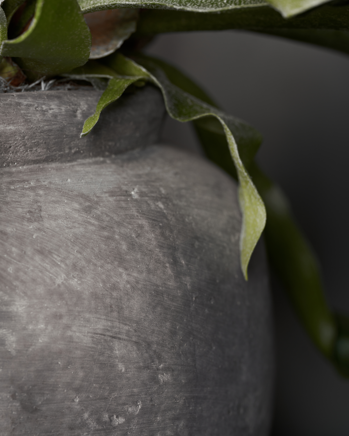 Henley Concrete Vase (Small)