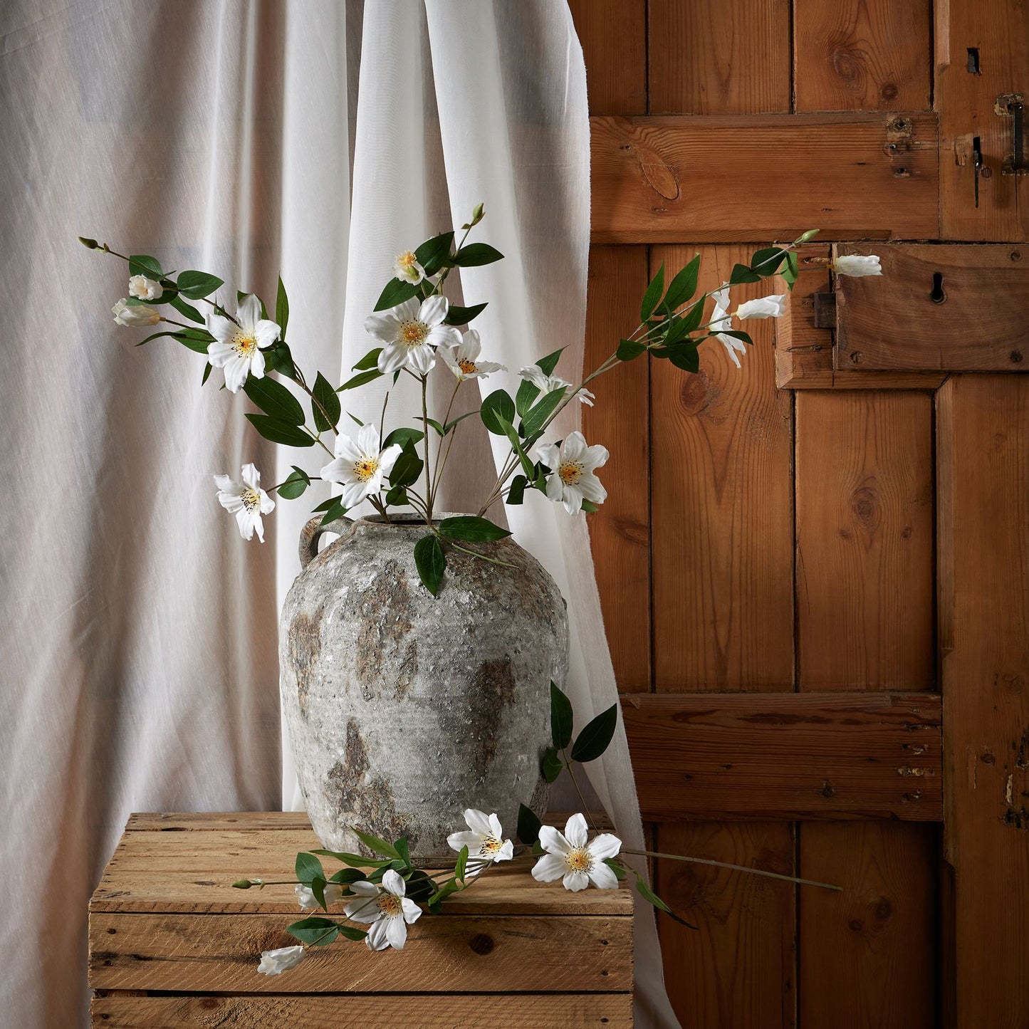 White Florida Clematis Spray