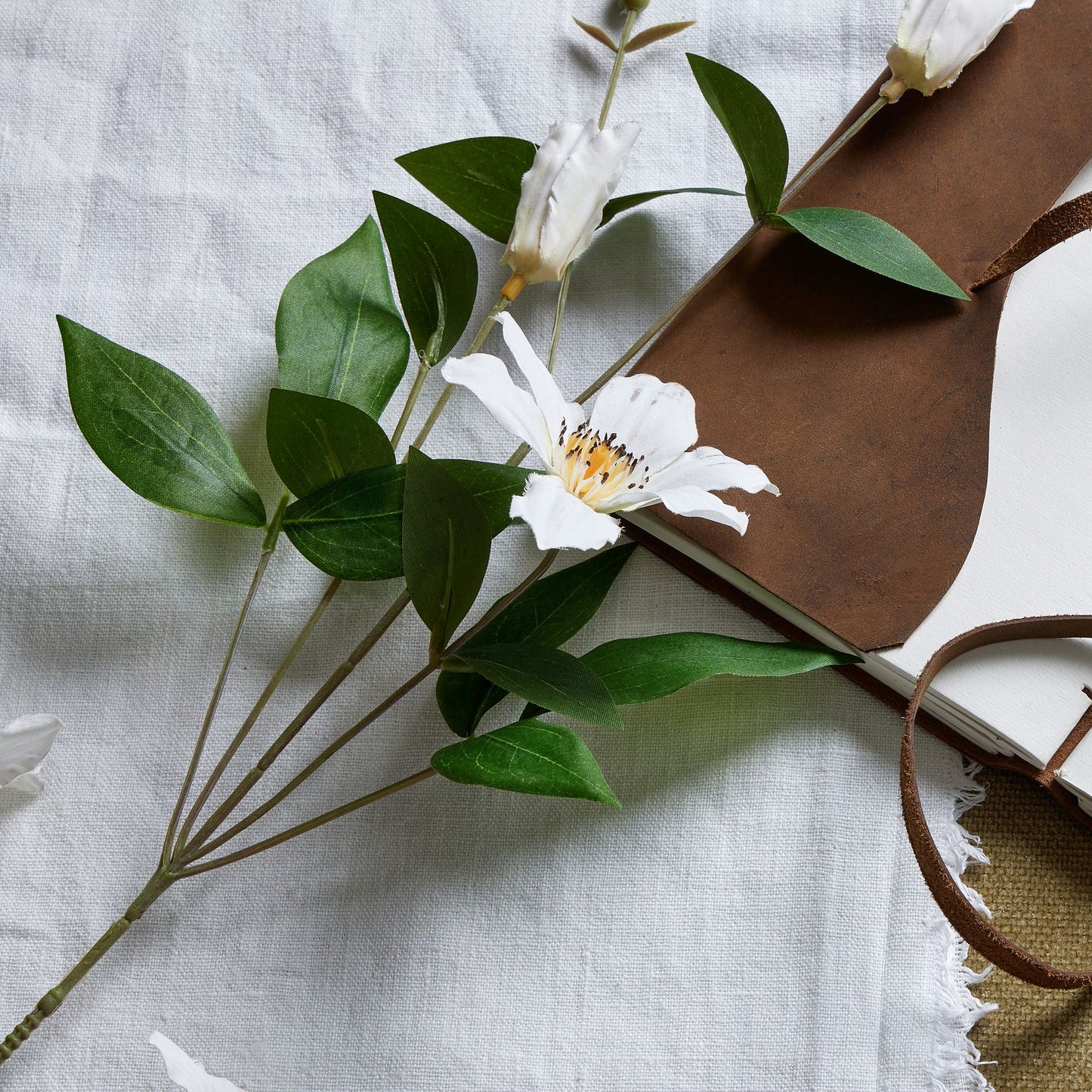 White Florida Clematis Spray