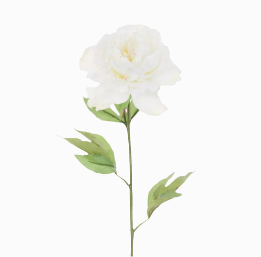Cream Peony Stem