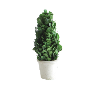 Mini Tree