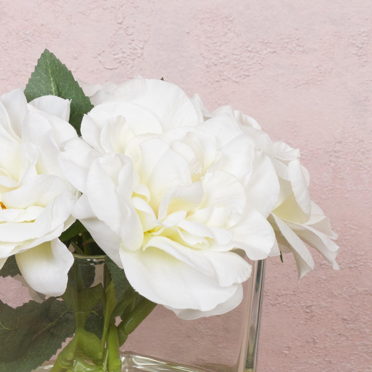 Roses in Square Vase
