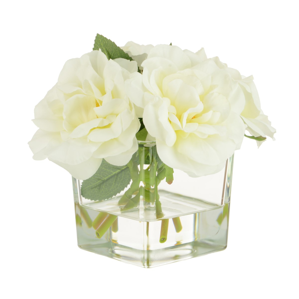 Roses in Square Vase