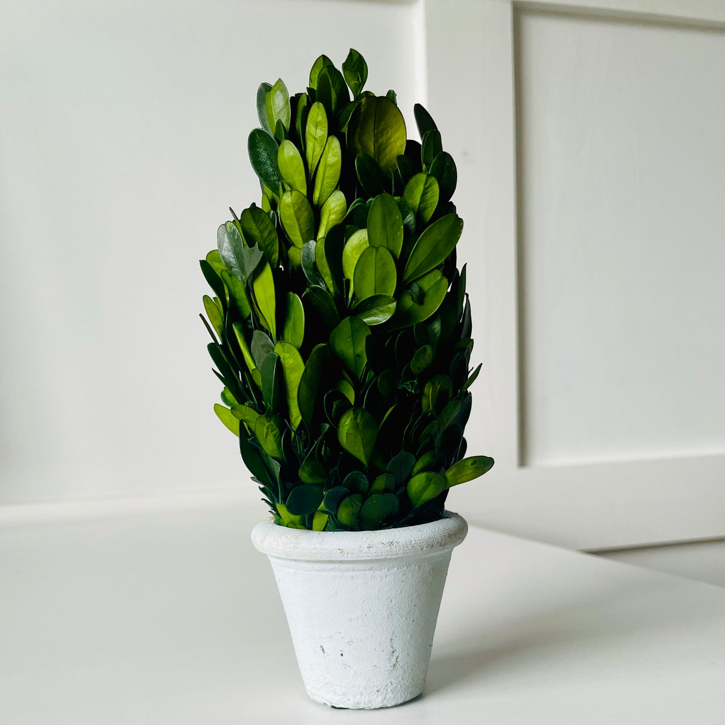 Mini Tree