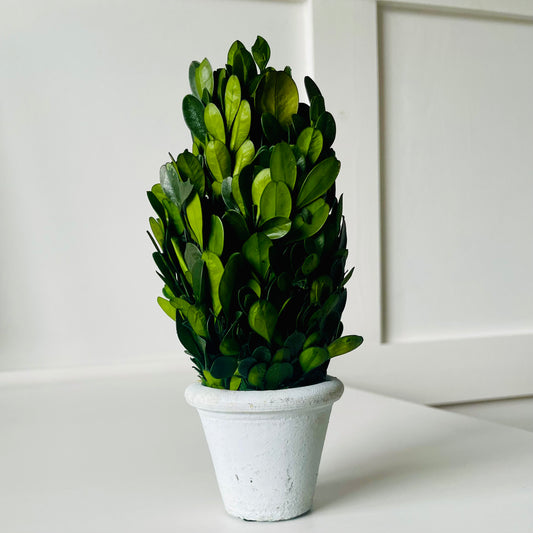Mini Tree