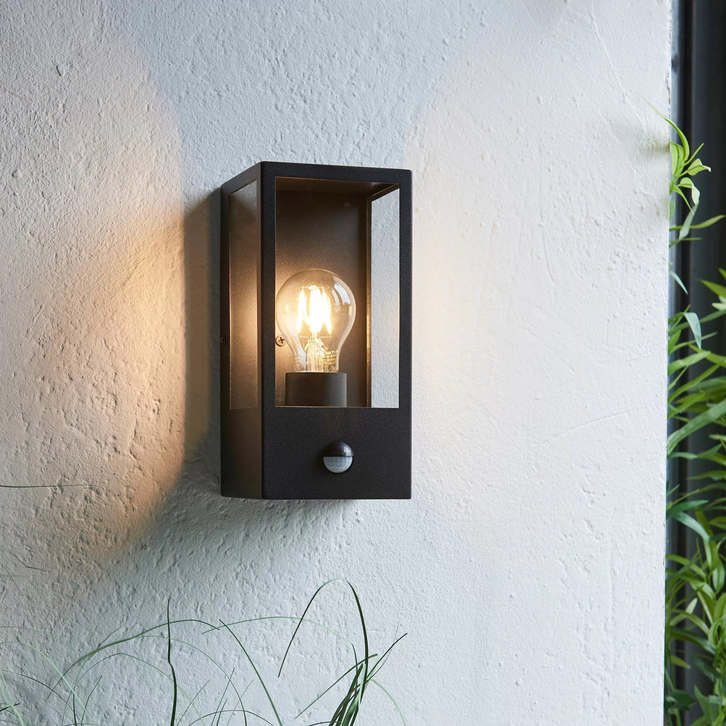 Outdoor Wall Light