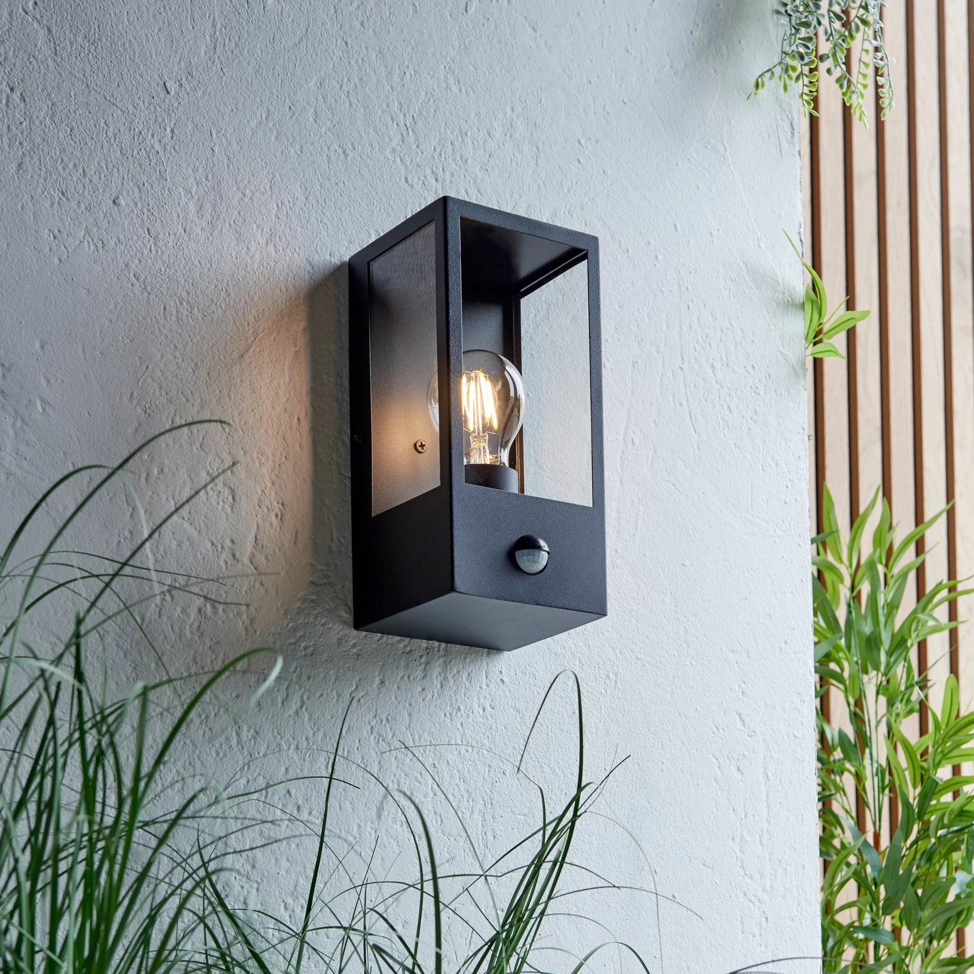 Outdoor Wall Light