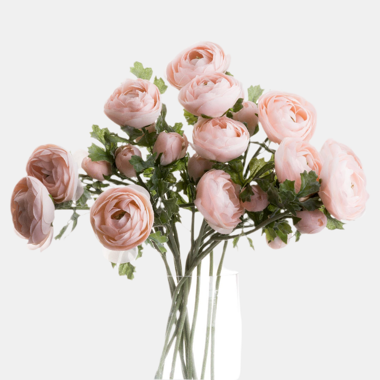 Ranunculus (Pink)