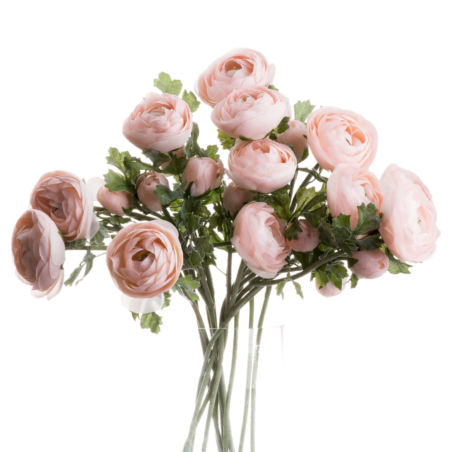 Ranunculus (Pink)