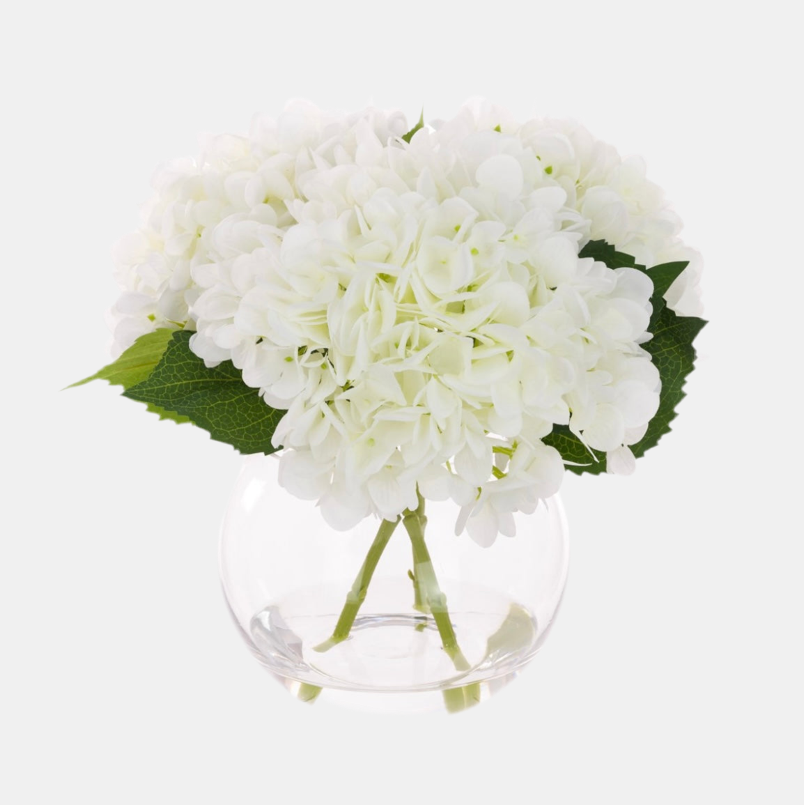 Hydrangea in Round Vase