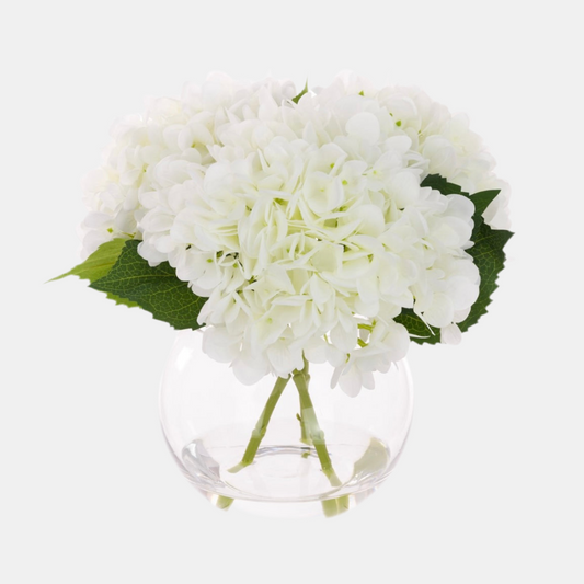 Hydrangea in Round Vase