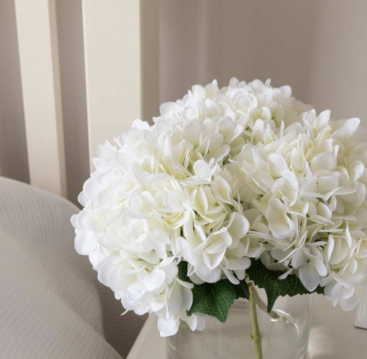 Hydrangea in Cylinder Vase