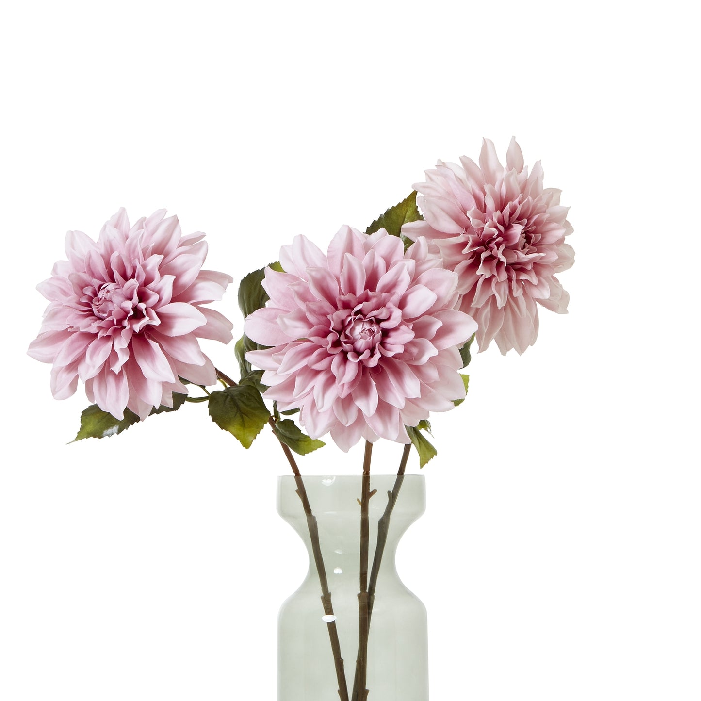 Pink Dahlia Stem