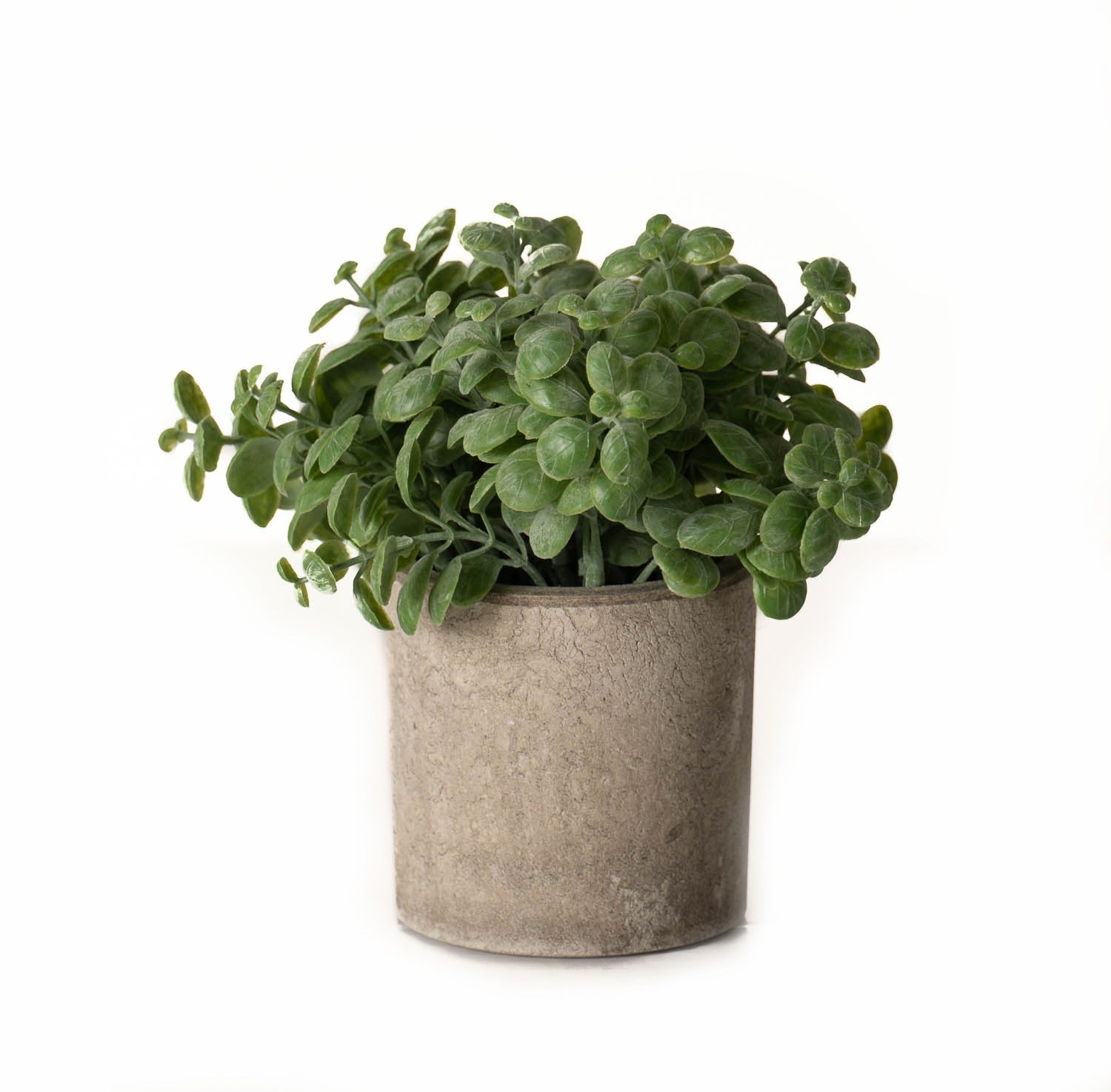 Artificial / Faux Basil Plant In Stone Effect Pot