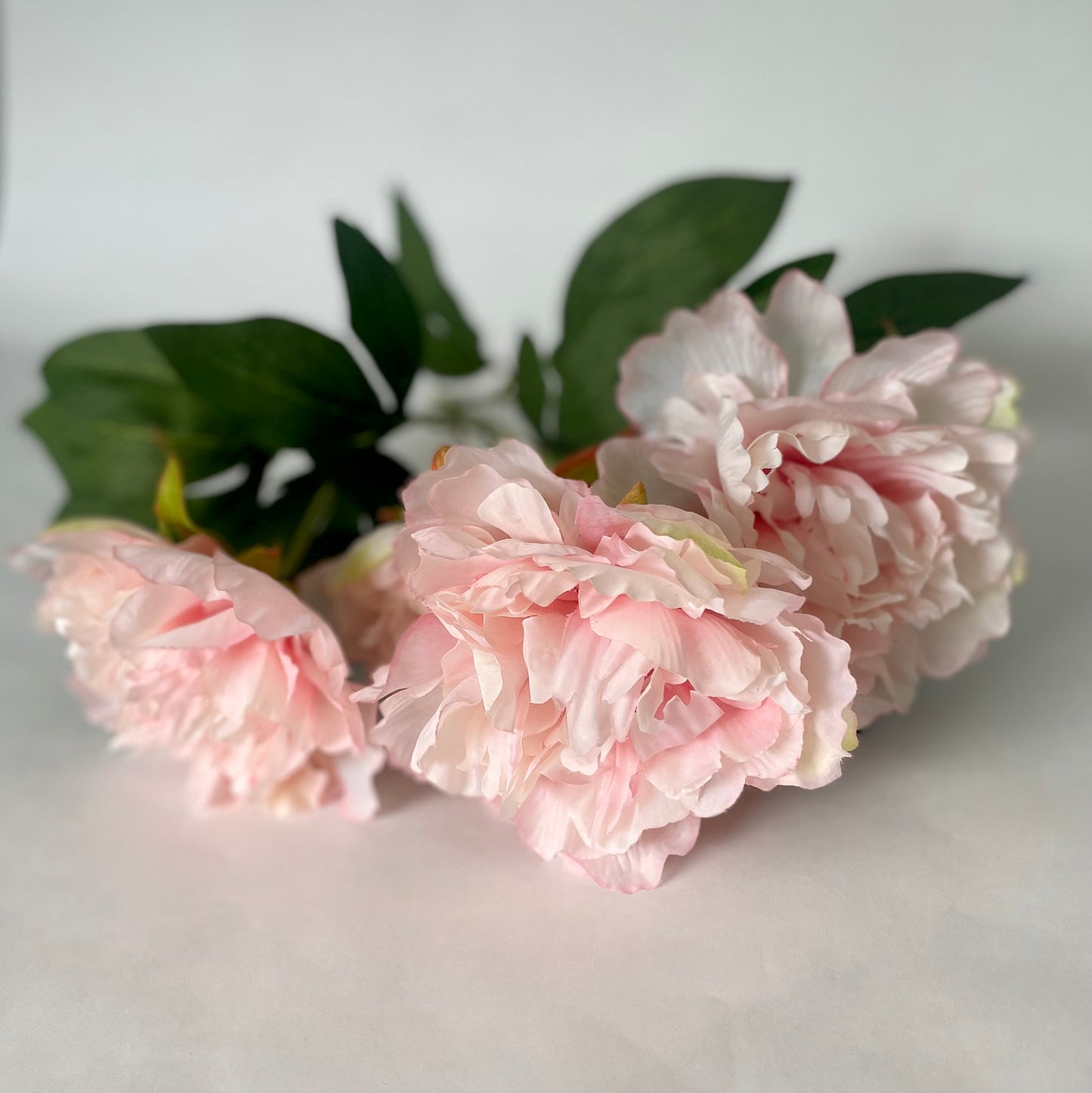 Pink Peony Bunch