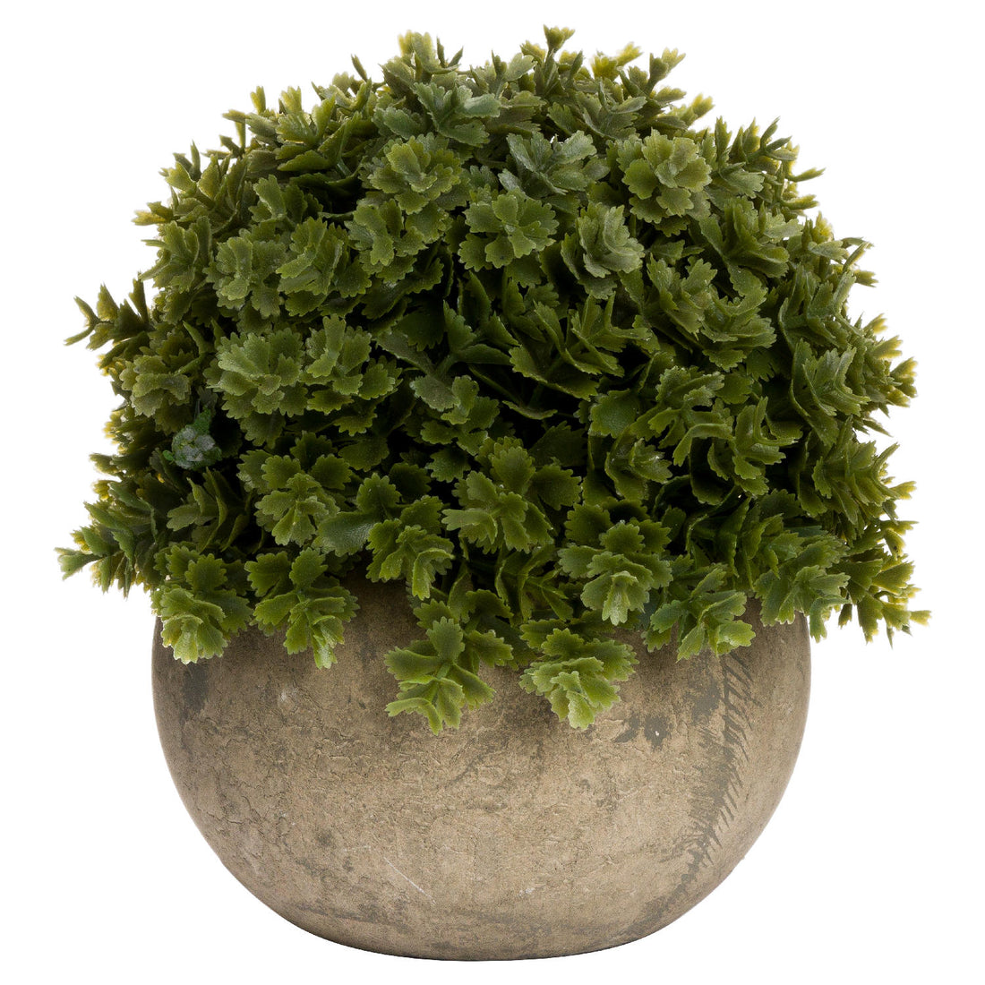 Artificial Plants Ireland Miniature Hebe Veronica In Pot Gigi