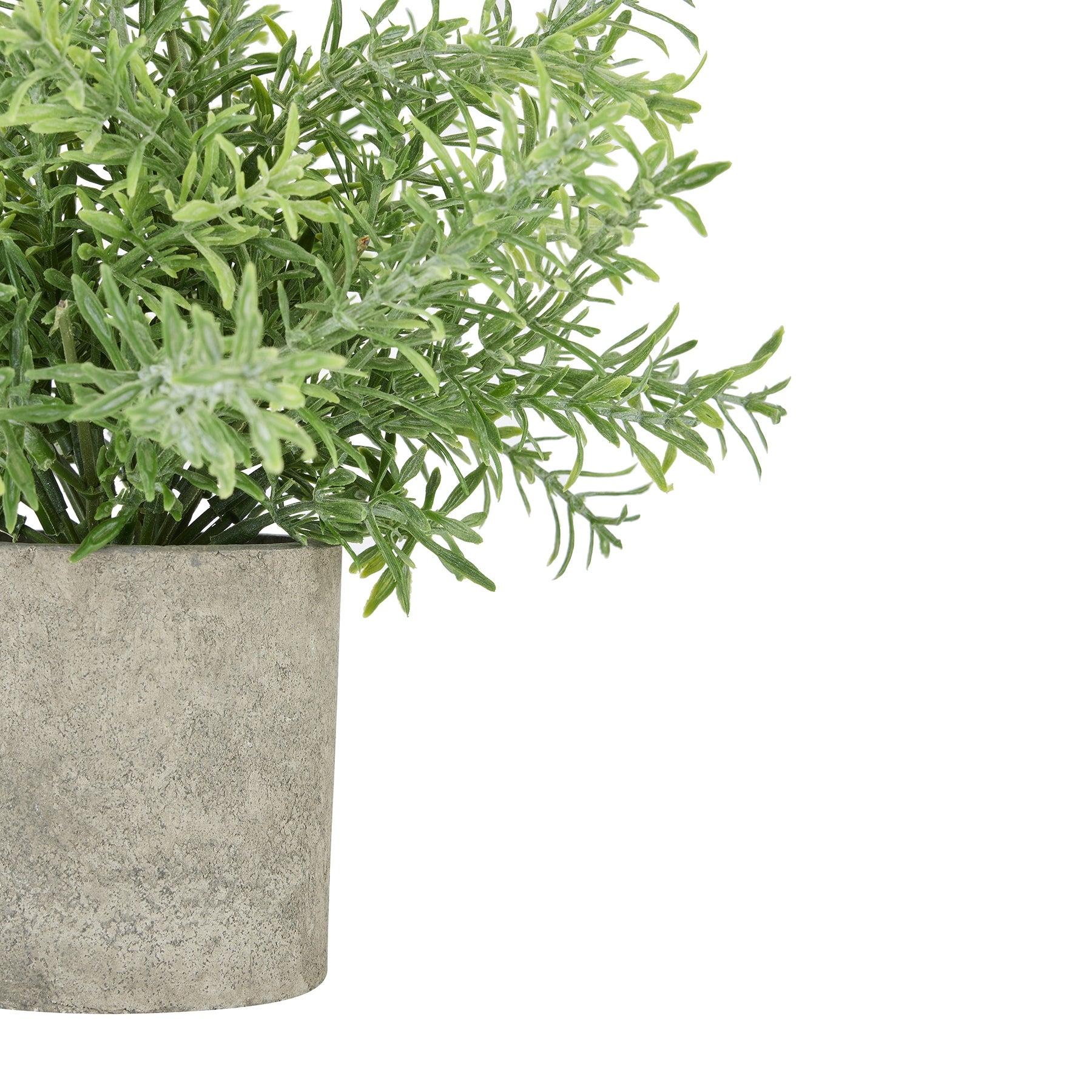 Faux Rosemary Plant In Stone Effect Pot