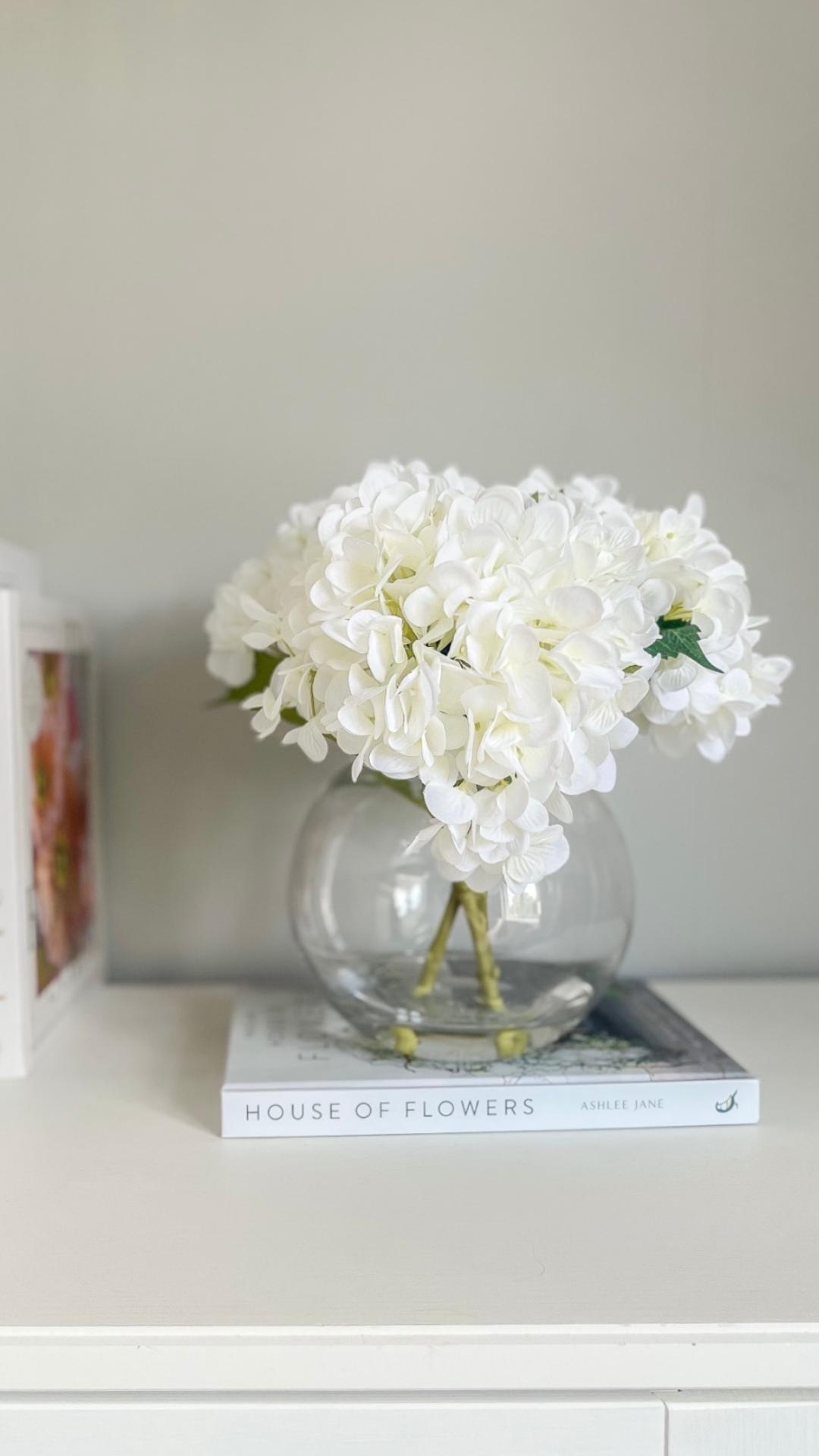 Hydrangea in Round Vase