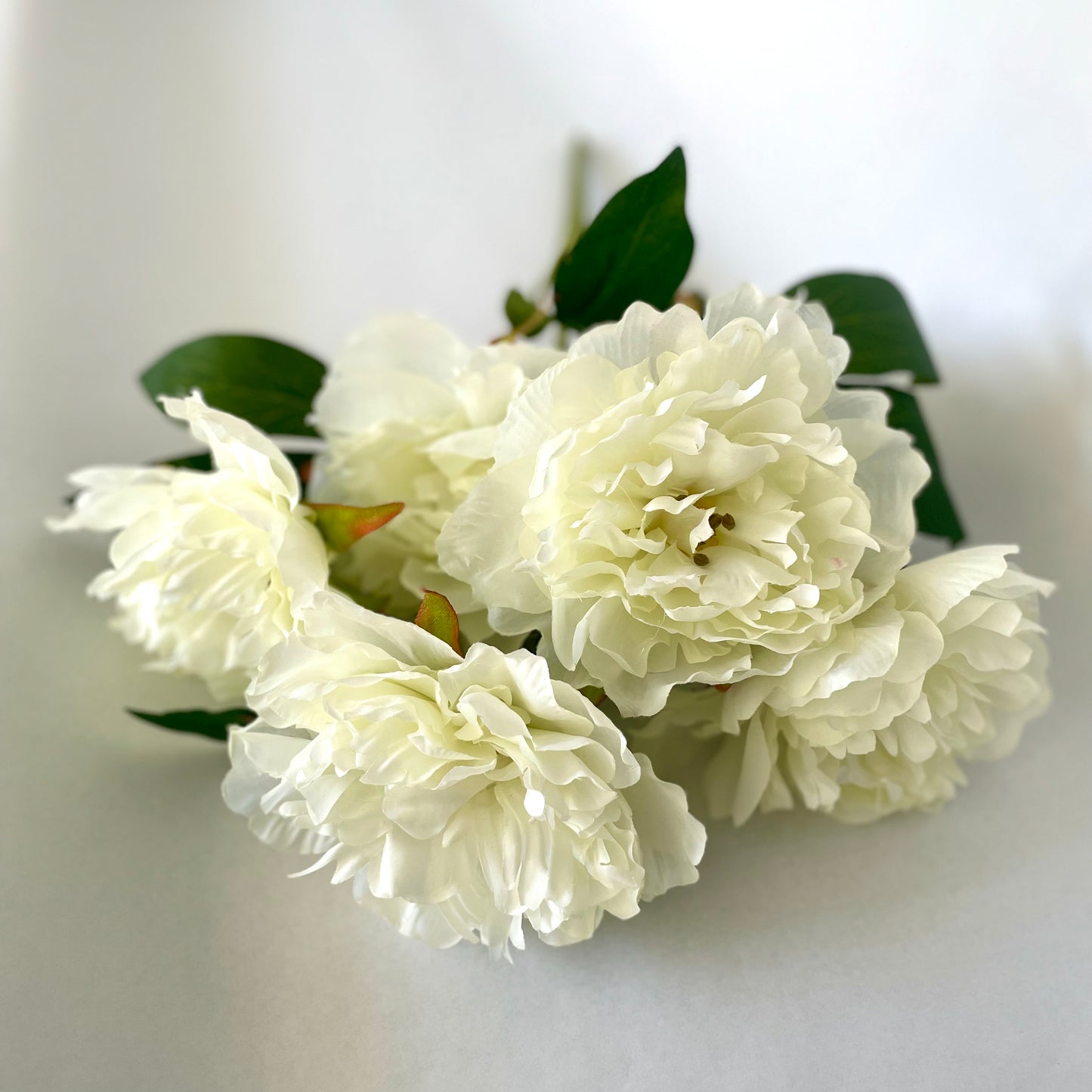 Cream Peony Bunch