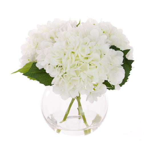 Hydrangea in Round Vase