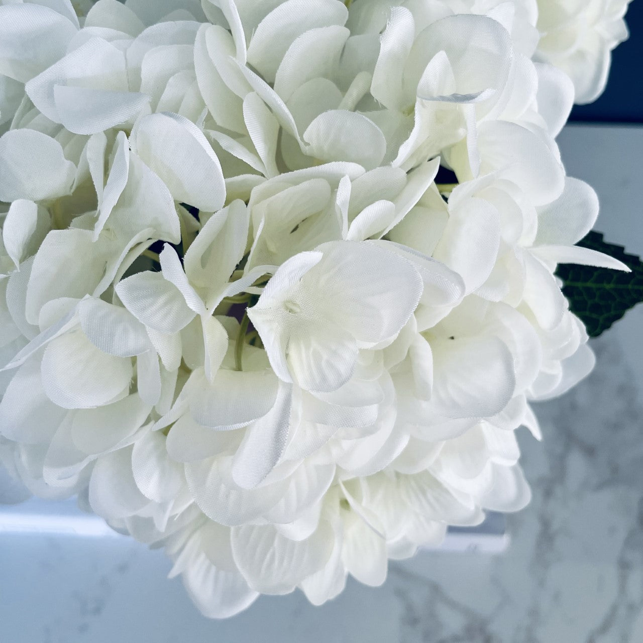 Hydrangea-in-Cylinder-Vase